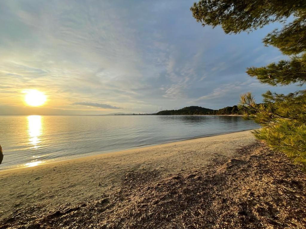 Appartement Plage Piscine Et Tennis Inclus La Londe-les-Maures Kültér fotó