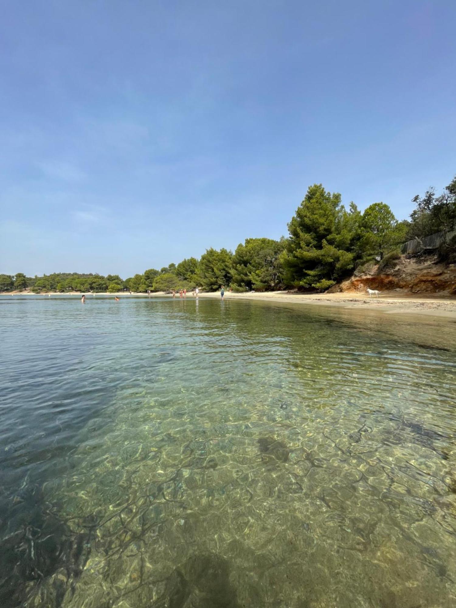 Appartement Plage Piscine Et Tennis Inclus La Londe-les-Maures Kültér fotó
