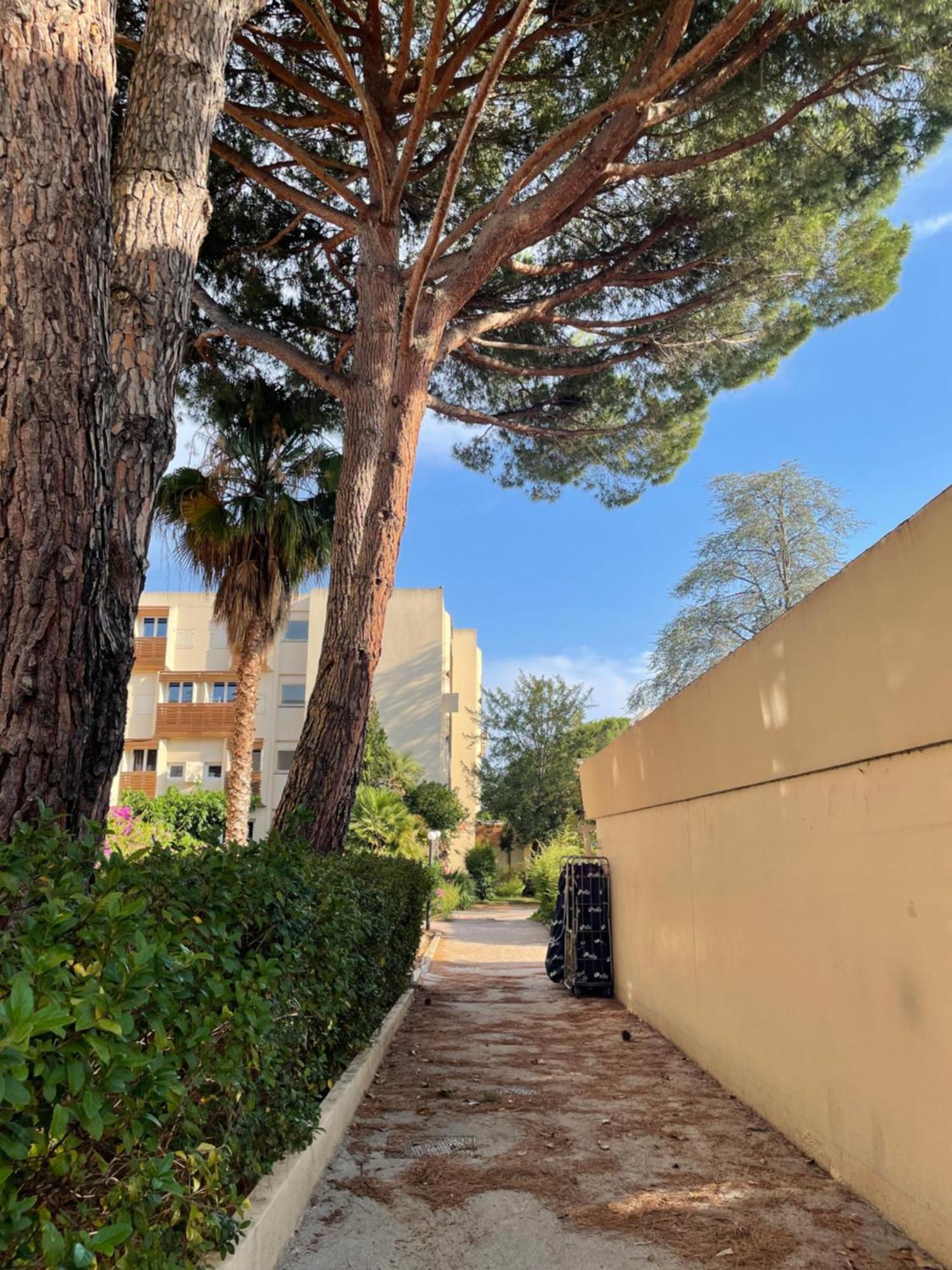 Appartement Plage Piscine Et Tennis Inclus La Londe-les-Maures Kültér fotó